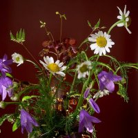 *** :: Владимир *** :: Владимир