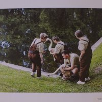 фотовыставка "Обитатели Летнего сада" :: zavitok * фотовыставка "Обитатели Летнего сада" :: zavitok *