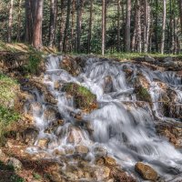 Лесные ручьи :: Владимир Колесников
