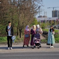 Будущие новосёлы :: Татьяна Машошина