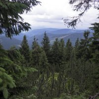 Богемия :: Александр Липовецкий