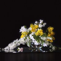 Весенняя зарисовка :: Olenka 