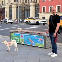 Растерялись, ни травки, ни кустика. :: Татьяна Помогалова Растерялись, ни травки, ни кустика. :: Татьяна Помогалова