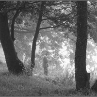 *** :: Aleksandr Gal