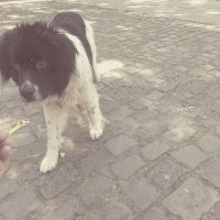 ЛЕ БО 5 (74) :: CLOSE WAYS ALL