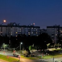 Полнолуние. :: Ольга 