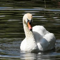 Москва. Сад будущего. :: Наташа ***** Москва. Сад будущего. :: Наташа *****