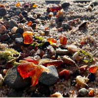 Янтарики и креветки на берегу после шторма. :: Валерия Комова