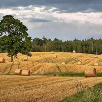 Summer 2025 2 :: Arturs Ancans