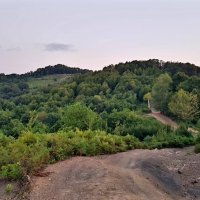 ПЛАСТУНКА :: Tata Wolf