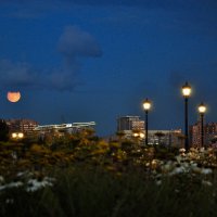 Полная луна :: Александр Конов