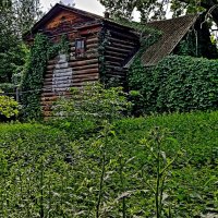 Дом, любящий природу.... :: Vladimir Semenchukov