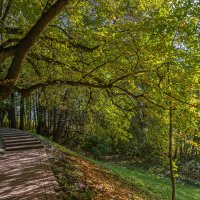 Парки Москвы :: Aleksey Afonin