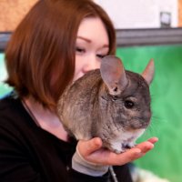 Контактный зоопарк :: Андрей 