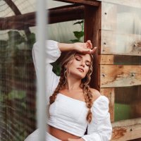 Тепличная история :: Анна Ермоленко