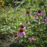 Лето... :: Осень 