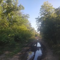 Август,после дождя. :: Андрей Хлопонин