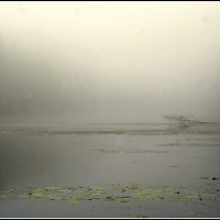 озеро утром... :: Aleksandr Gal