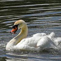 Москва. Сад будущего. :: Наташа *****