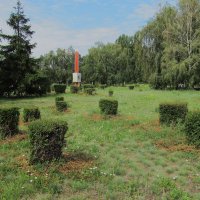 ...... :: Елена Шаламова