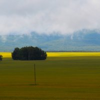 Ширь :: Сергей Никифоров