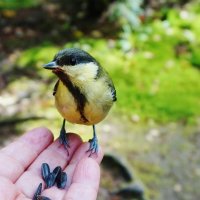 Задумалась :: Nataly St. 