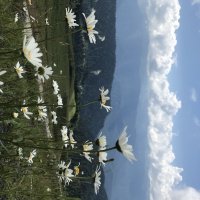 В горах :: Pippa В горах :: Pippa