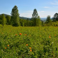 На перевале. :: Валерий Медведев