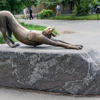 В зоопарке :: Ирина Соловьёва В зоопарке :: Ирина Соловьёва