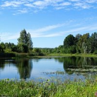 Природа Смоленщины в августе. :: Милешкин Владимир Алексеевич 