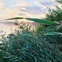 Тишина :: Георгиевич 