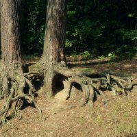 Курьи ножки :: Леонид leo Курьи ножки :: Леонид leo