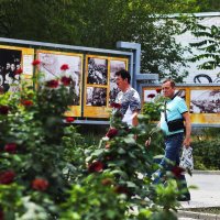 Иду в парк :: Юрий Гайворонскiий Иду в парк :: Юрий Гайворонскiий