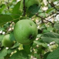 ,,, :: Сергей Тимоновский