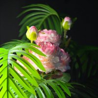 *** :: Николай Чекалин