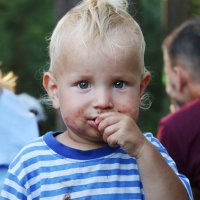 Шоколадку съел... :: СЮ 