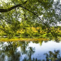Река Яхрома. :: Петр Беляков