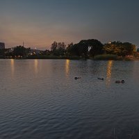 Белые ночи Санкт-Петербурга. :: Лилия *