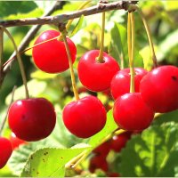 . :: Leonid Rutov . :: Leonid Rutov