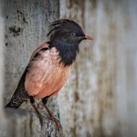 Посижу тут :: Александр К. Посижу тут :: Александр К.