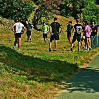 Август.....Ребята на тренировке! :: Владимир 