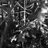 Назва. отсу. :: Денис Безногов