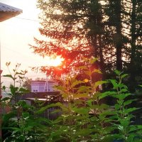 восход :: Ольга Конькова