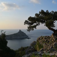 Природа Крыма :: Amazing Cosmea