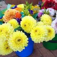 ,,, :: Сергей Тимоновский