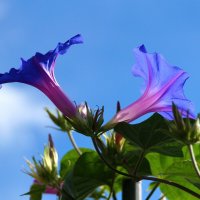 !!!! :: kolyeretka !!!! :: kolyeretka