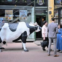 - :: Владимир Мигонькин