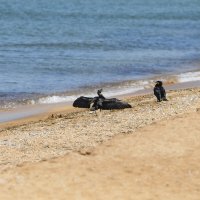 ... :: Юрий Бичеров