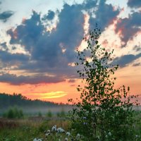 на рассвете :: Сергей Бойцов