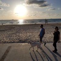 " :: Светлана Хращевская